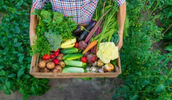 alimentazione-sostenibile