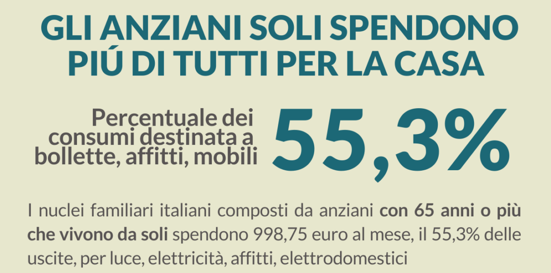 anziani-soli:-il-55,3%-delle-entrate-va-in-spese-per-la-casa