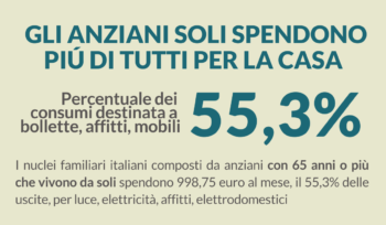 anziani-soli:-il-55,3%-delle-entrate-va-in-spese-per-la-casa