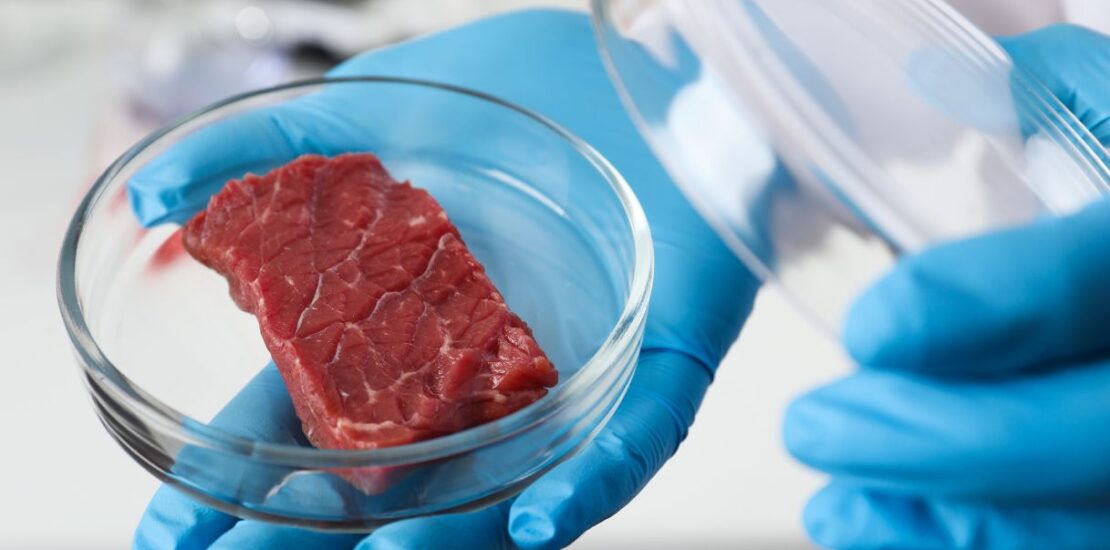 carne-sintetica-vietata-in-italia:-a-quali-rischi-andiamo-ora-incontro