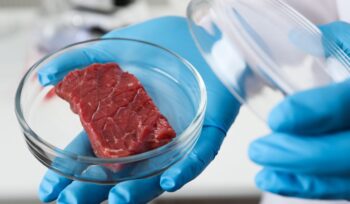 carne-sintetica-vietata-in-italia:-a-quali-rischi-andiamo-ora-incontro