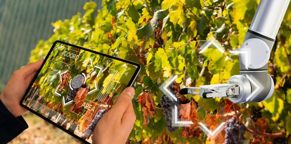 vigne-sempre-piu-tech:-via-al-progetto-che-avvicina-produttori-di-vino-e-startup