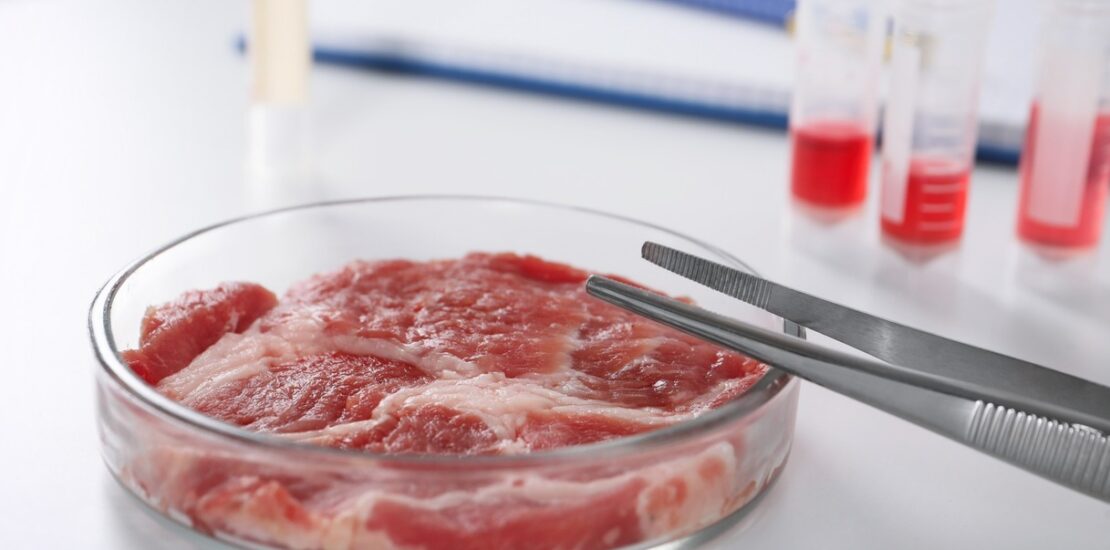 da-una-cellula-alla-bistecca:-com’e-prodotta-la-carne-coltivata-in-laboratorio