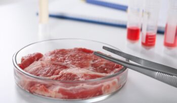 da-una-cellula-alla-bistecca:-com’e-prodotta-la-carne-coltivata-in-laboratorio