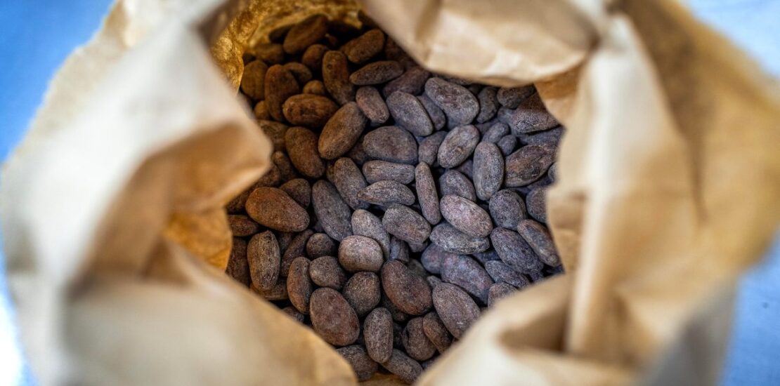 il-prezzo-del-cacao-torna-a-salire:-ragioni-ed-effetti-in-italia