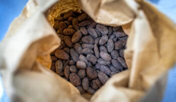 il-prezzo-del-cacao-torna-a-salire:-ragioni-ed-effetti-in-italia