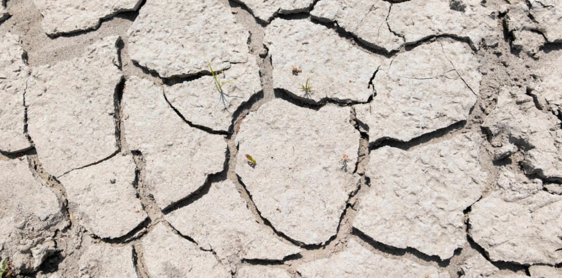 siccita-in-sicilia,-danni-per-2-miliardi-e-rischio-desertificazione:-dove-l’acqua-e-razionata