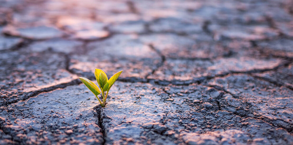 cambiamento-climatico,-per-l’82%-degli-italiani-e-in-atto-causato-delle-attivita-dell’uomo