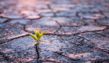 cambiamento-climatico,-per-l’82%-degli-italiani-e-in-atto-causato-delle-attivita-dell’uomo