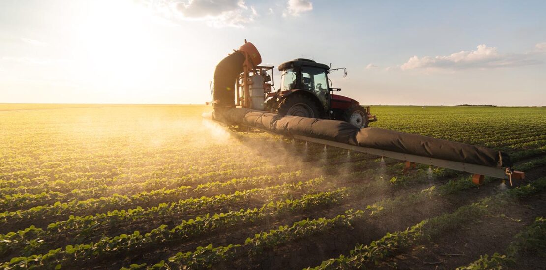 agricoltura-sostenibile,-le-10-proposte-di-legambiente-per-affrontare-la-crisi-climatica