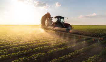 agricoltura-sostenibile,-le-10-proposte-di-legambiente-per-affrontare-la-crisi-climatica