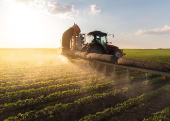 agricoltura-sostenibile,-le-10-proposte-di-legambiente-per-affrontare-la-crisi-climatica